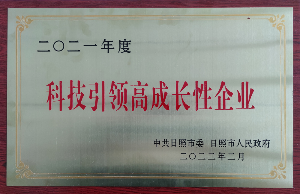 日照市科技引領(lǐng)高成長(zhǎng)性企業(yè)